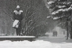 Снегопад и гололед ожидаются на Ставрополье
