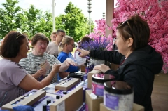 Гарантийный фонд Севастополя в 2025г выдал поручительства малому бинесу на 417 млн рублей