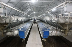 Краснодарский край в 2026г получит 130 млн руб. на федпроект по повышению производительности труда