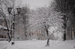 Новгородские синоптики зарегистрировали самую морозную ночь за зиму