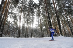 Впервые за два года "Лыжню России" в Новгородской области проведут в обычный срок