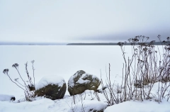 Ладожское озеро полностью замерзло