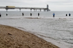 Компании предлагают учитывать удельную углеродоемкость продукции и погодные условия при квотировании выбросов СО2 на Сахалине