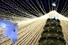 Китайский гороскоп-2026: каким знакам повезет в любви и деньгах в год Лошади