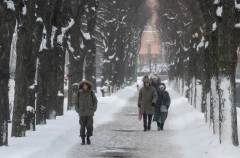 Свыше 10 см снега выпало в Петербурге за неделю