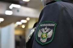 Россельхознадзор усиливает контроль на границе в связи с запретом Казахстана на ввоз уральского мяса и молока