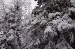 Пропавшие на севере Прикамья туристы из Уфы не выходят на связь с 24 февраля