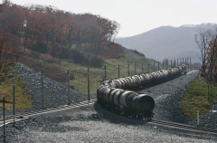 Новак: РФ в 2025г экспортировала 238 млн т нефти, 114 млн т нефтепродуктов