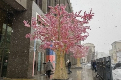 Снег будет идти в Москве до конца дня четверга