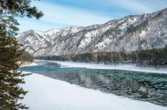 Резиденты ОЭЗ "Бирюзовая Катунь" инвестируют в проекты более 38 млрд рублей