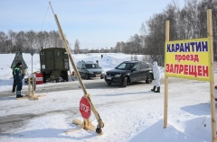 Новосибирская область выделит почти 704 млн руб. на компенсации предприятиям за изъятый скот