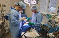 Технологию, которая позволит компенсировать дефицит донорских сердец, разрабатывают в Новосибирске