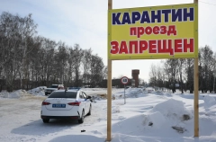 Карантин по бешенству действует в 28 населенных пунктах Алтайского края