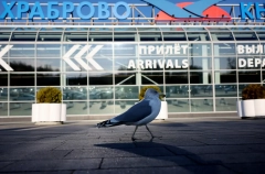 Чартерные рейсы в Анталью впервые с 2022 года будут запущены из Калининграда