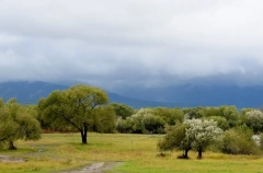 Филиал наццентра "Россия" появится на острове Большой Уссурийский