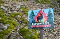 Особый противопожарный режим ввели в двух округах Карелии