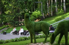 Доход турорганизаций и средств размещения в Алтайском крае вырос в 2025г на 22%