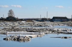 Более 300 участков подтоплено в Новосибирской области - МЧС