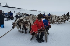 Гонки на оленьих упряжках, конкурсы на лучшую строганину и костюм прошли на берегу Обской губы