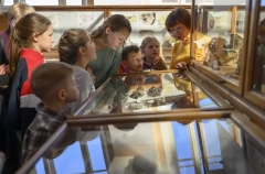 Проект турпоездок для школьников охватит около 3 тыс. детей в Ленобласти