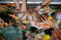 Продукция 23 компаний из Приморья представлена на Российско-китайском ЭКСПО