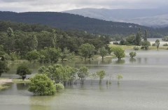 Запасов воды в водохранилищах Крыма хватит на 400 дней - глава республики