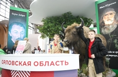 Производства металлопроката и бытовой химии планируется запустить в Орловской области