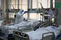 Более 2 тыс. случаев COVID-19 выявлено в Сибири за сутки