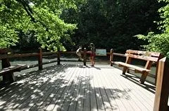 Бурятия предложила создать в России сеть экотроп