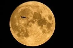 Исследовать вместе