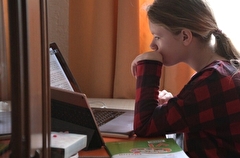 Школьники Южно-Сахалинска останутся дома до конца недели из-за снегоочистки города после метели