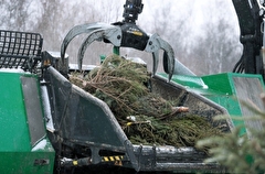 Более 20 тыс. новогодних деревьев сдали москвичи на утилизацию
