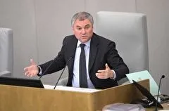 Володин предложил конфисковывать в РФ активы представителей бизнеса из недружественных стран