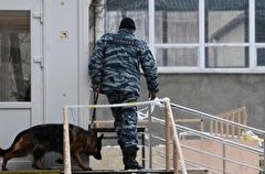 Школы Петропавловска-Камчатского эвакуировали из-за сообщения о "минировании"