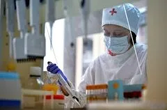 Роспотребнадзор: на сегодняшний день случаев заболевания холерой в России нет