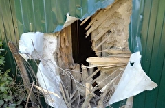 Губернатор: 3 дома повреждены при обстреле с Украины приграничного села в Курской области