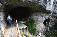 После ухода древних людей Денисову пещеру на Алтае заняли летучие мыши - исследование