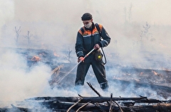 Площадь лесных пожаров в Иркутской области за сутки сократилась в четыре раза