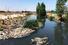Росприроднадзор требует от властей города в Приморье возместить многомиллионный ущерб за загрязнение реки