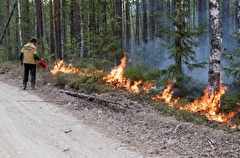 Особый противопожарный режим введен в Орловской области