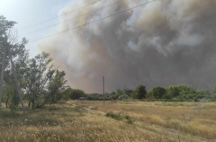 Режим ЧС введен в Усть-Донецком районе Ростовской области, где природный пожар перекинулся на станицу