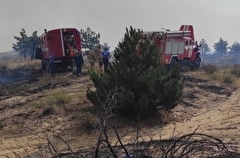 Площадь природного пожара в Усть-Донецком районе Ростовской области увеличилась до 252 га