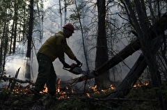 Более 200 московских спасателей помогают бороться с пожарами в Рязанской области - Собянин