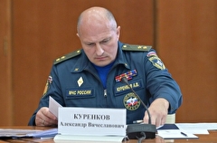 Глава МЧС Куренков предложил закрепить в инструкциях чиновников реагирование на прогноз ЧС