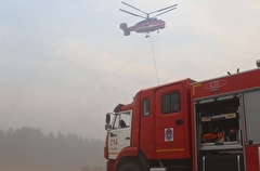 Причиной самого крупного лесного пожара в Рязанской области стали сухие грозы - власти