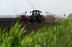 Программа льготного выкупа сельхозземель на Кубани возобновится с 2023 года