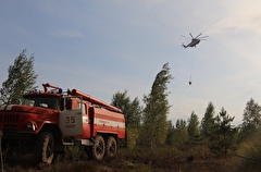 Рослесхоз: в Рязанской области нет угрозы перехода природных пожаров на населенные пункты