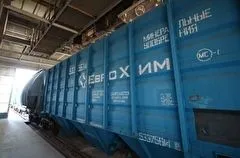 Путин заявил о готовности безвозмездно передать беднейшим странам скопившиеся на складах калийные удобрения