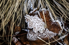 Резкое похолодание и первый снег прогнозируются в ряде регионов Поволжья