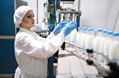 Краснодарский край в 2022г направил на поддержку молочного животноводства почти 1 млрд рублей